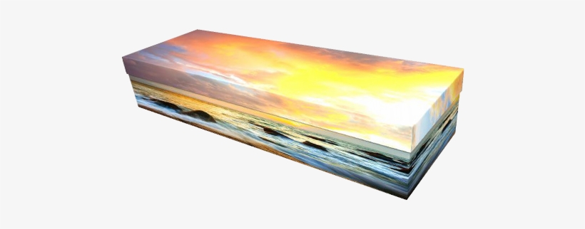 Cardboard Caskets - Coffin, transparent png download