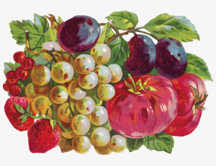 Clipart Resolution 800*552 - Seedless Fruit, transparent png download