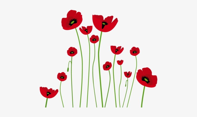 Vinilo Amapolas Pen Palmail Pinterest Watercolor Flowers - Poppy Vector, transparent png download