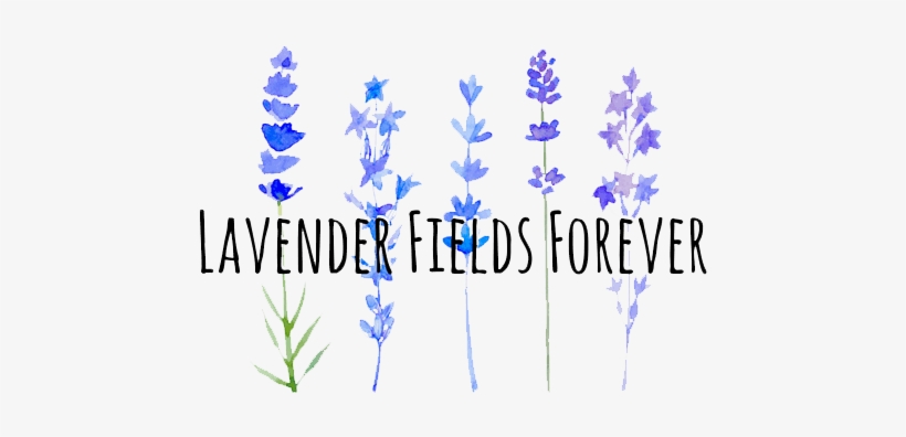 Lavanda Flor Aquarela, transparent png download