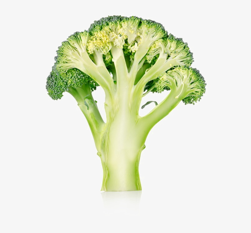 Broccoli Png No Background - Broccoli Cut, transparent png download