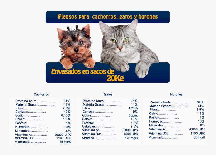 Forzecan Gatos - You're Only Young Twice, transparent png download