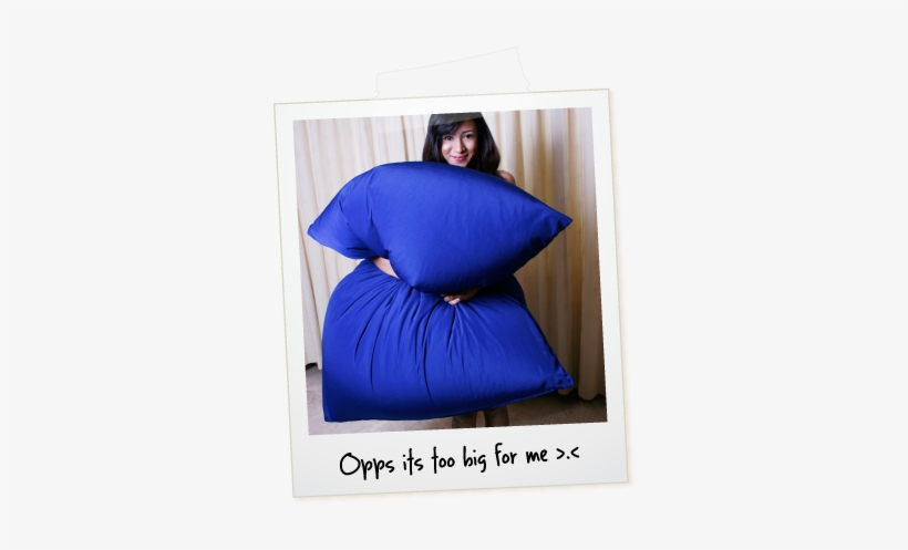 Too Small Pay For The Difference And Get A Large The - Bean Bag, transparent png download