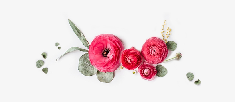 Floristerias Albacete - Pink Tassel Earrings, Tassel Jewelry, Bridesmaid Tassel, transparent png download