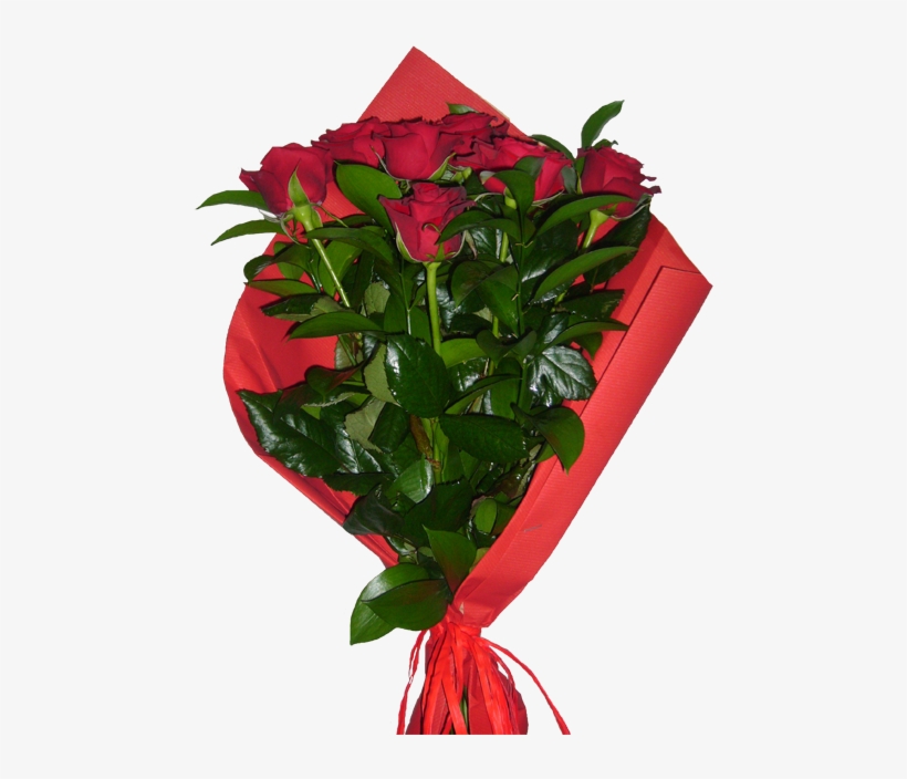 12 Rosas Vermelhas - Ramo De Rosas Vermelhas, transparent png download