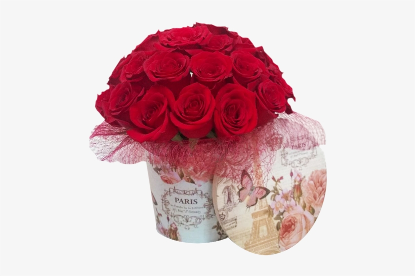 Caja Redonda De 36 Rosas Precio - Garden Roses, transparent png download