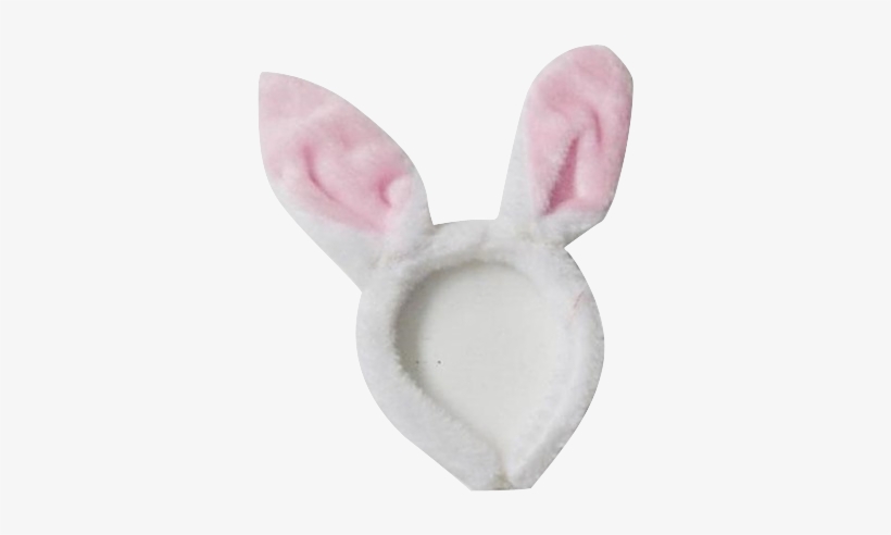 Rabbit, transparent png download