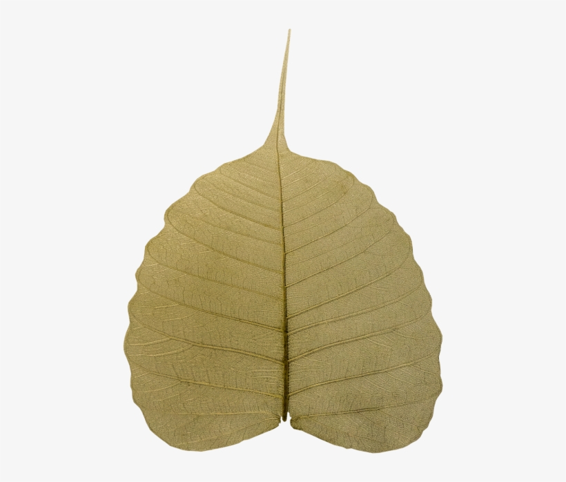 Religiosa,sacred - Stock.xchng, transparent png download