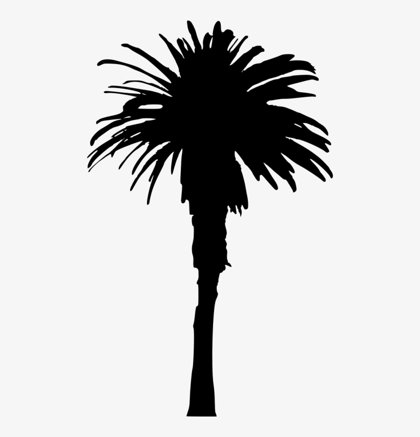 Free Png Palm Tree Png Images Transparent - Single Palm Tree Silhouette, transparent png download
