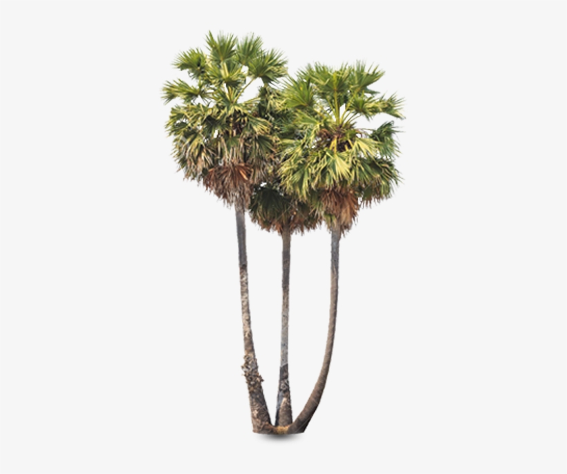 Support Us On - Pagoda In Cambodia Png, transparent png download