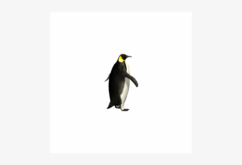 Aurora Designs Emperor Penguin - Penguin, transparent png download
