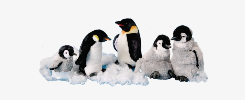 Douglas Pip Emperor Penguin Chick In Egg Shell - Emperor Penguin, transparent png download