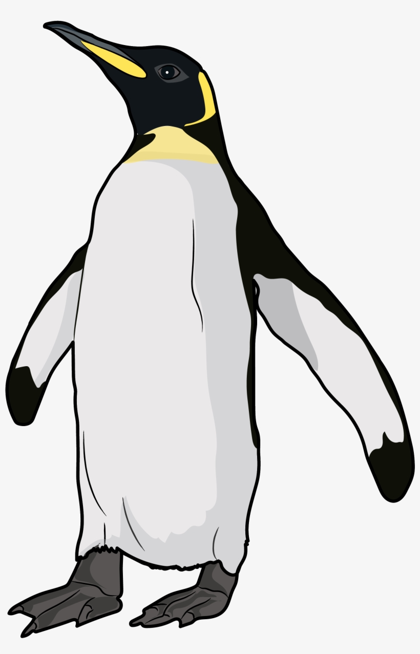 King Penguin, transparent png download