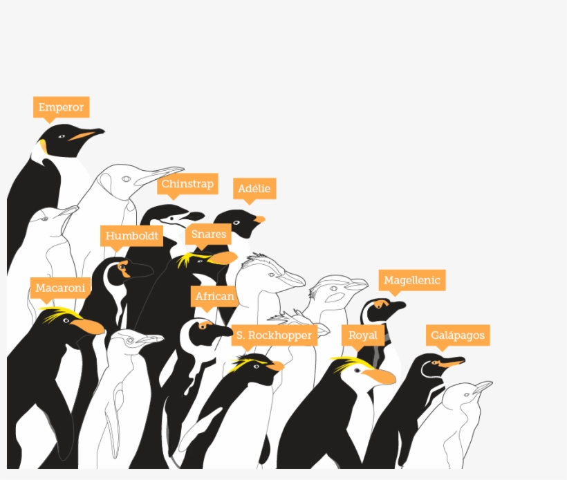 Climate, transparent png download