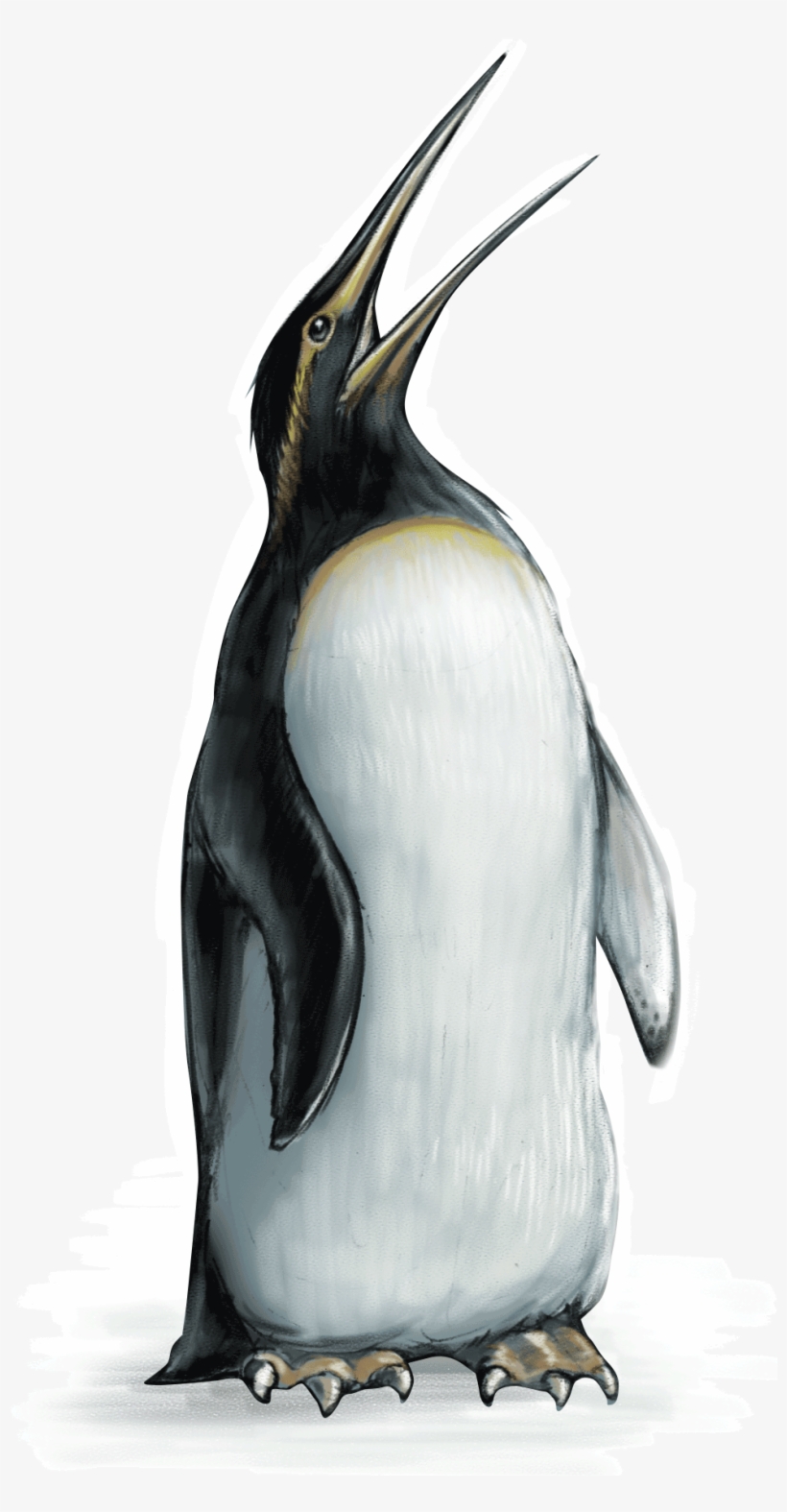 Penguin - Emperor Penguin, transparent png download