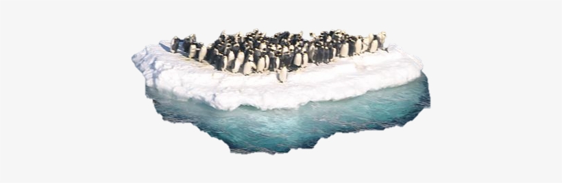 To Display Aggression, Threat Or Competition, Emperor - Penguins On Ice Transparent, transparent png download