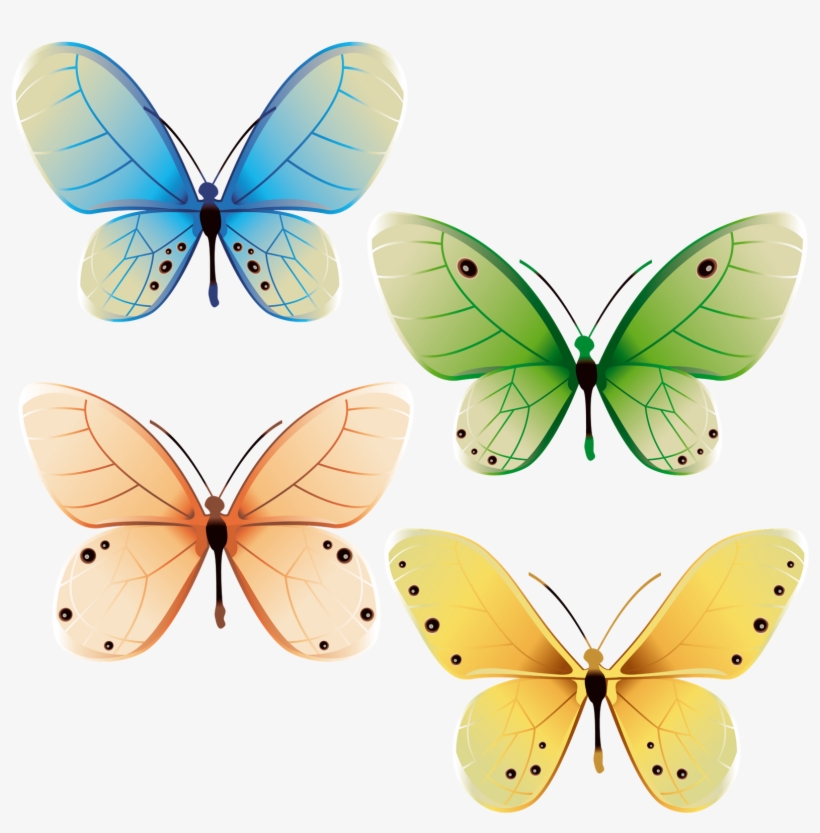 Borboletas Perfeitas - Butterflies Design, transparent png download