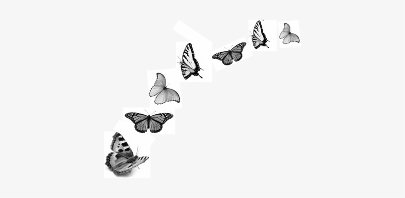 E É Esta Meia Complexidade Da Vida Que Me Fascina E - Christ And Evolution: Wonder And Wisdom, transparent png download