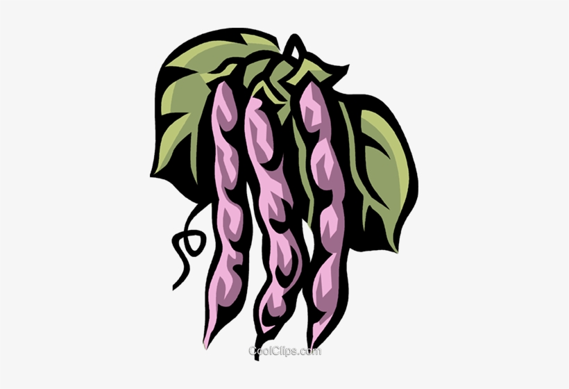 String Beans Royalty Free Vector Clip Art Illustration - Фасоль Пнг, transparent png download
