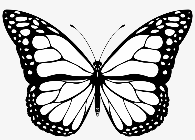 Uma Borboleta Na Ponte De Babel - Hinh Ve Con Buom, transparent png download