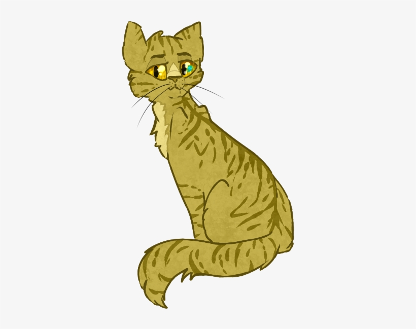 Domestic Short-haired Cat, transparent png download