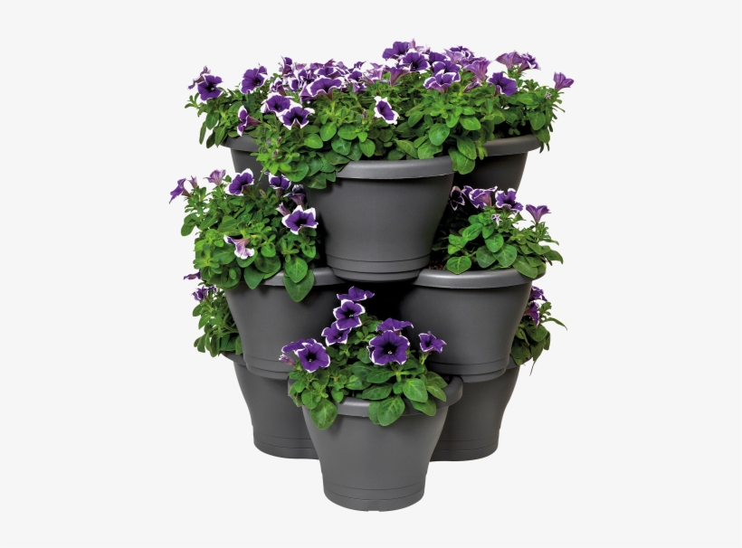 Home > Collection > Corsica Vertical Garden - Elho Pot, transparent png download