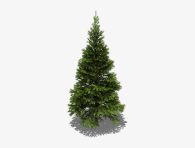 Preview - Artificial Fir Christmas Trees, transparent png download