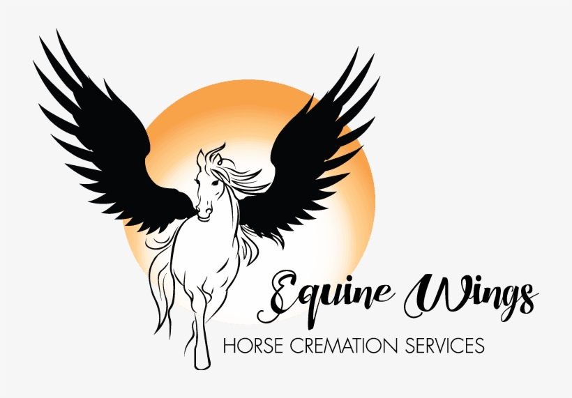 Equine Wings Logo - Wings Horse Logo, transparent png download