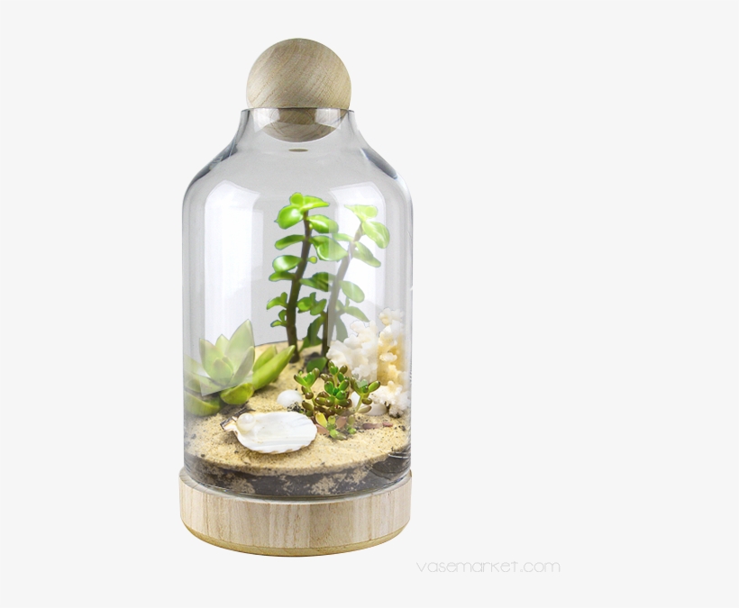 Glass Dome W/ Wood Base And Stopper H 14" Body D - Glass, transparent png download