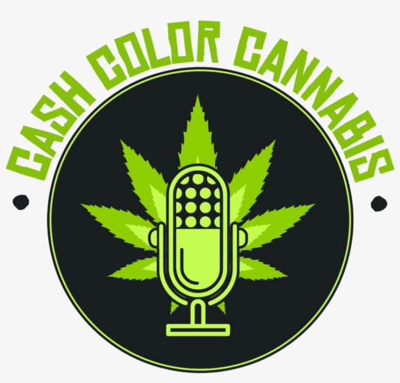 Robin Ann Morris With The Maryjane Agency Talks Ohio - Cash Color Cannabis, transparent png download