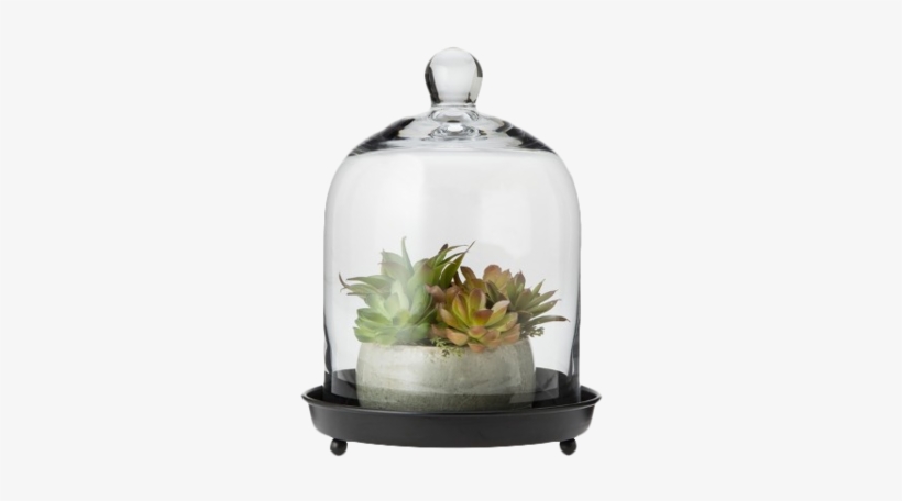 Smith & Hawken Glass Dome Cloche - Candle With Glass Dome, transparent png download