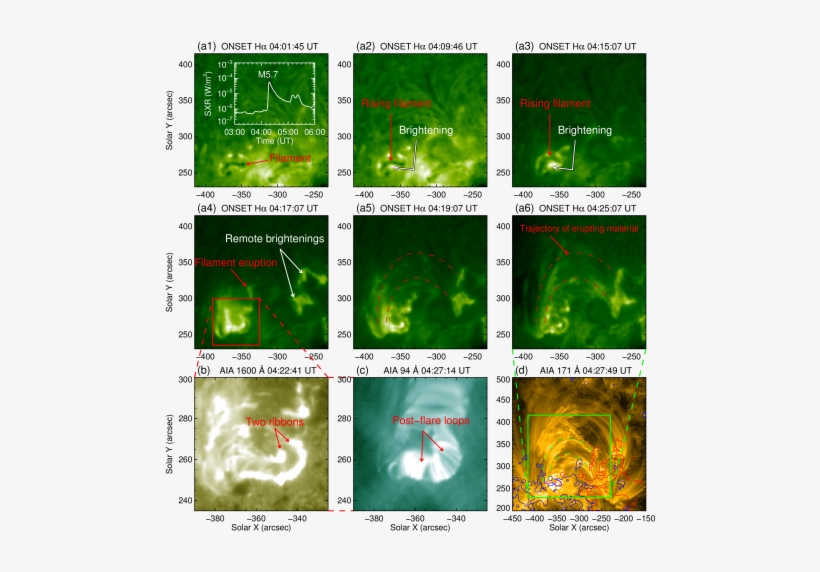 Panels And (c) - Acne, transparent png download