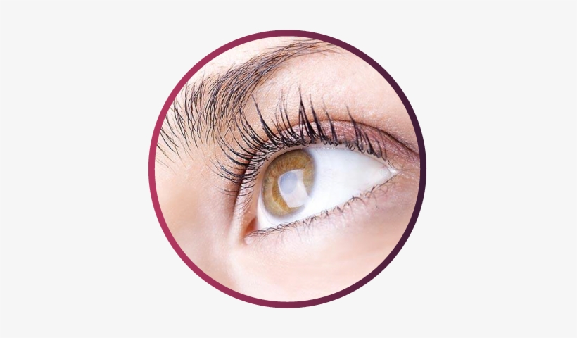 Home / Servicios Adicionales / Lifting De Pestañas - ベティーズラッシュ アイラッシュエッセンスex(まつげ美容液), transparent png download