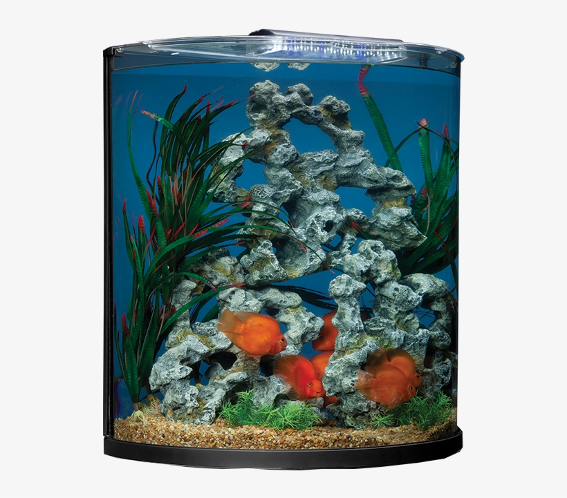 Product No - - Marineland 10 Gallon Half Moon Desktop Aquarium, transparent png download