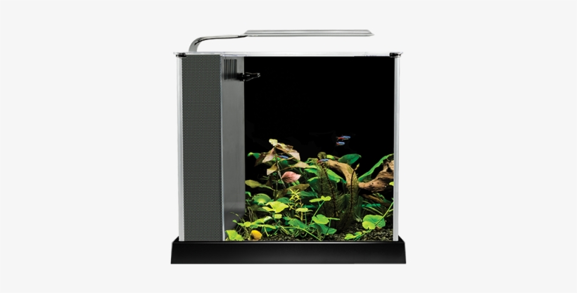 Anubias He Series Desktop Aquarium Kit - Led For Fluval Spec 3, transparent png download