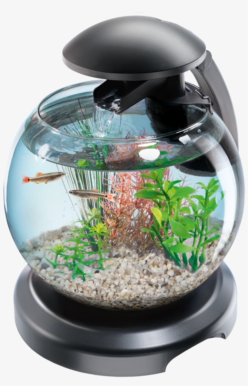 Cascade Globe, transparent png download