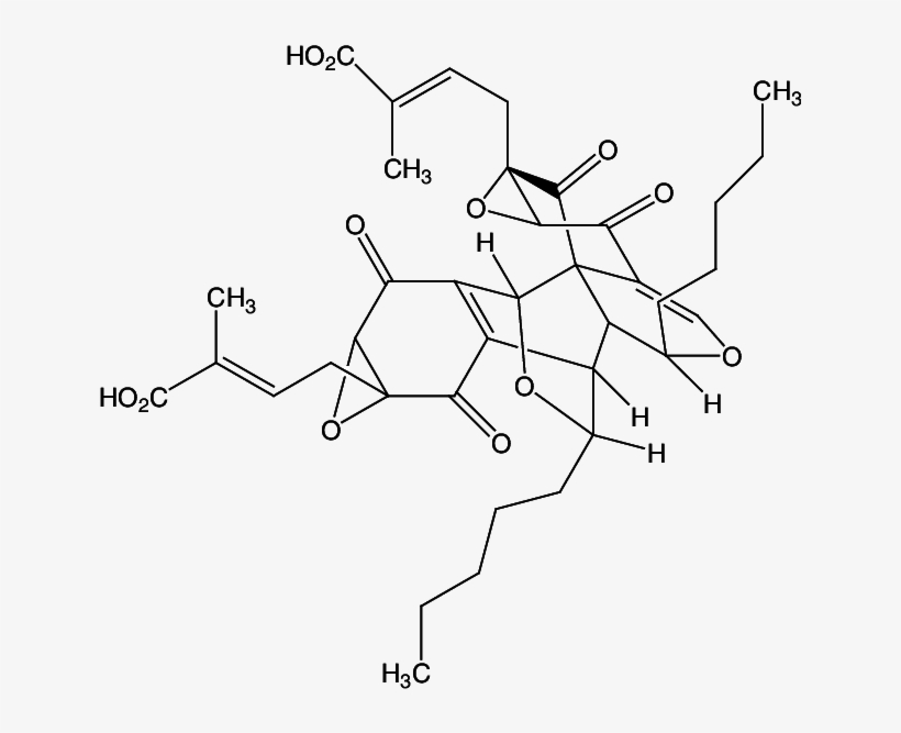 8 Torreyanic Acid, An Anticancer Compound, From Pestalotiopsis - Torreyanic Acid, transparent png download