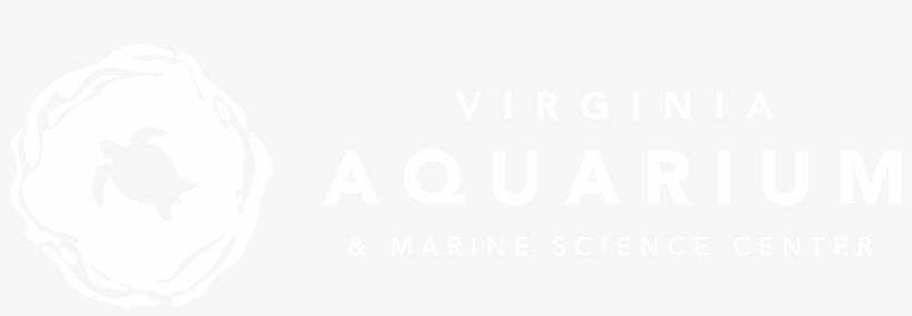 Virginia Aquarium - Virginia Aquarium Price, transparent png download