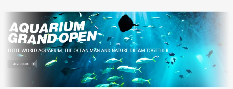 Aquarium Grand Open<br />lotte World Aquarium, The - Lotte World Aquarium, transparent png download