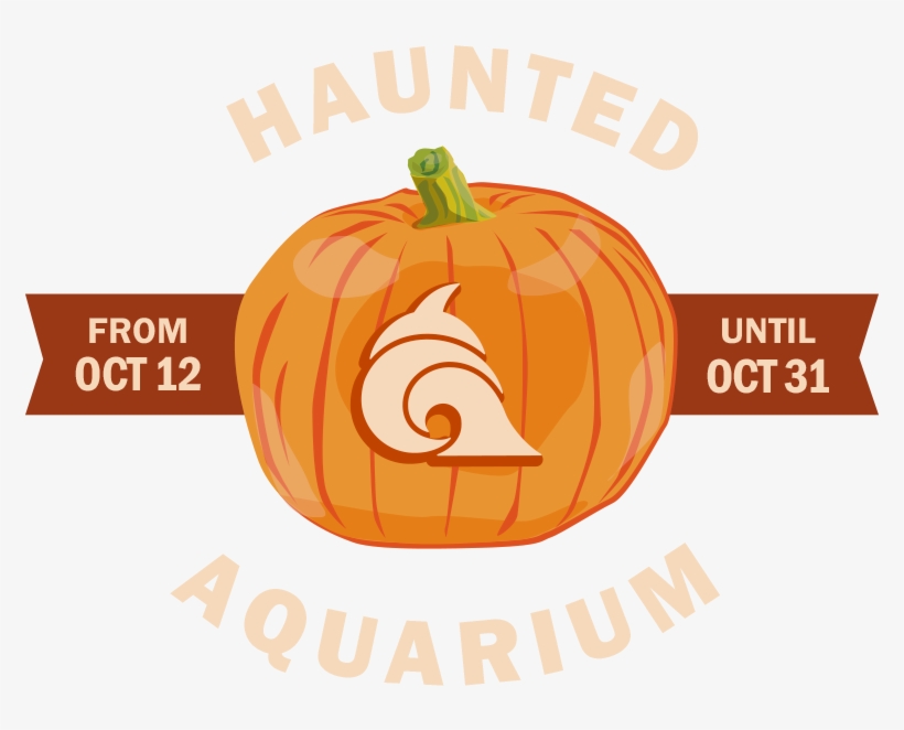 Visit Loveland Living Planet Aquarium October 12 31 - Snow Goggles, transparent png download