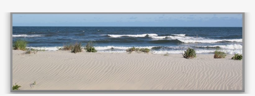 Dune Project Information - Singing Sand, transparent png download