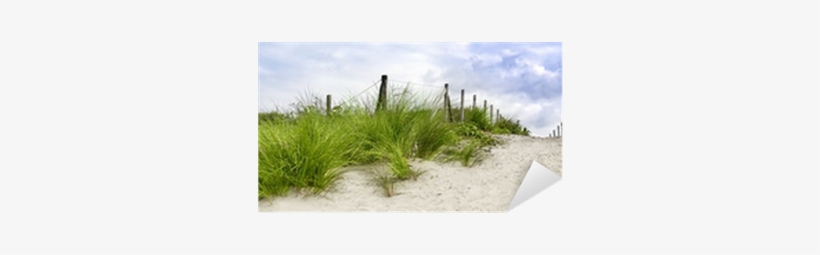 Sand Dune Png For Kids - Led-bild Sand Dune At (bht 50x125x5 Cm), transparent png download