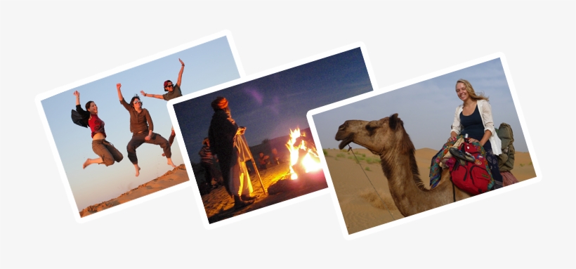 Please Note - Arabian Camel, transparent png download