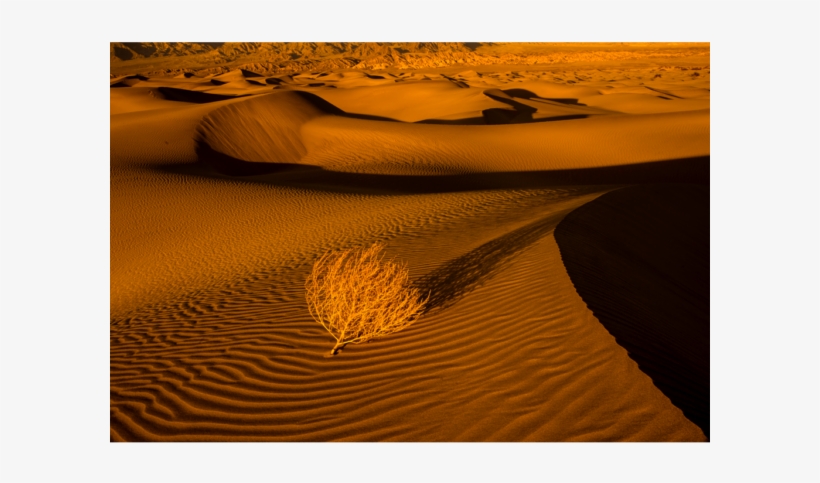 Oceans Of Sand - California, transparent png download