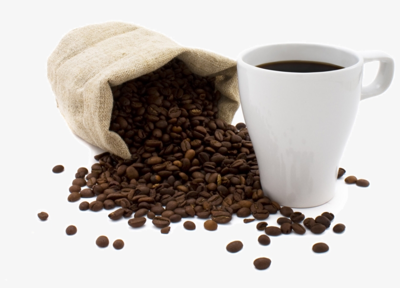 Disponemos De Servicio De Asistencia Técnica Propio, transparent png download