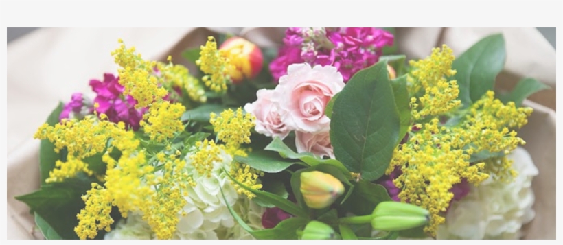 After The Luncheon Banner - Garden Roses, transparent png download