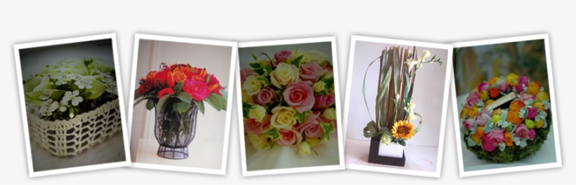 No Need Prior Floral Knowledge Required - Peach Florist, transparent png download
