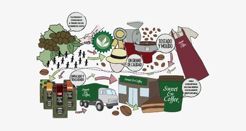 Después Del Cultivo, A Nuestra Planta Torrefactora - Sweet And Coffee Historia, transparent png download