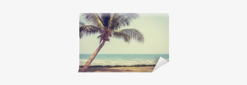 Coconut Palm Tree On The Tropical Beach And Sea - Beach, transparent png download