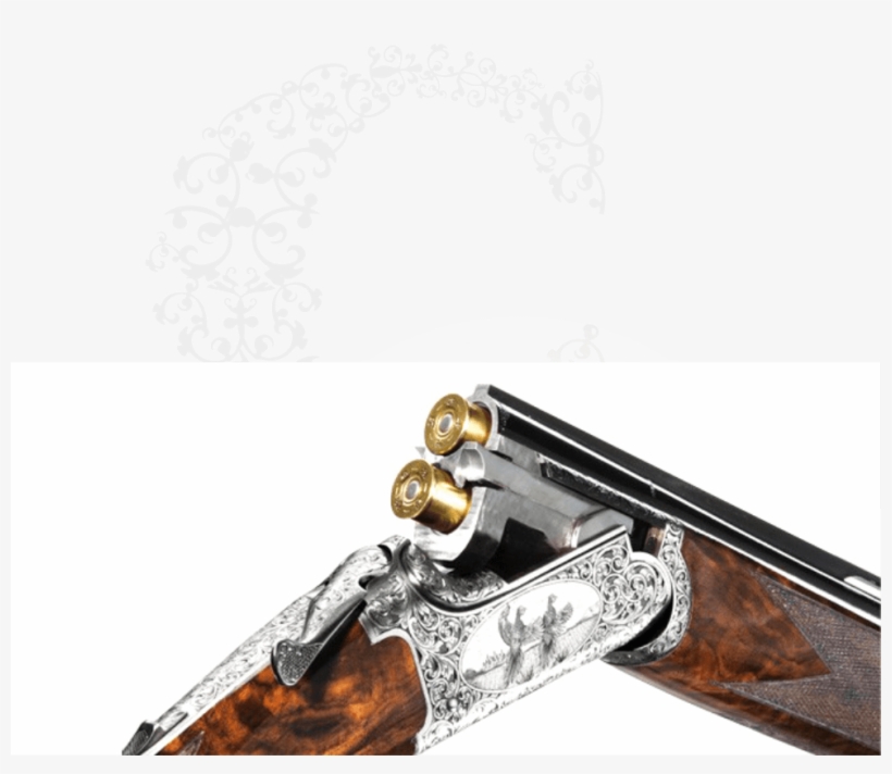 Revive Emotion - Chapuis Super Orion C 135, transparent png download